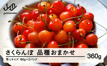 【先行予約】さくらんぼ 品種おまかせ 秀品 L玉 180g×2パック 2026年産 令和8年産 山形県産 mm-saosl360