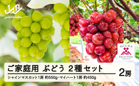 【先行予約】農業者支援 ぶどう シャインマスカット 約550g マイハート 約450g セット ご家庭用 令和8年産 2026年産 山形県山辺町産 フルーツ 果物 ※沖縄・離島への配送不可 bg-busmk1050