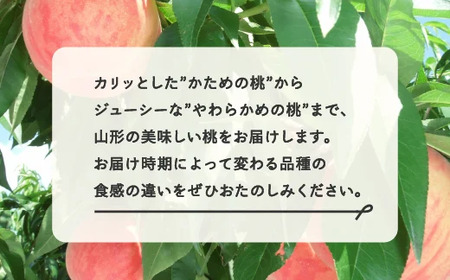 【先行予約】【春始まり】フルーツ 定期便 全4回 2026年産 ラ・フランス さくらんぼ 佐藤錦 もも 白桃 ぶどう シャインマスカット 果物 山形県産 送料無料 ※沖縄・離島への配送不可 mm-ft4yz