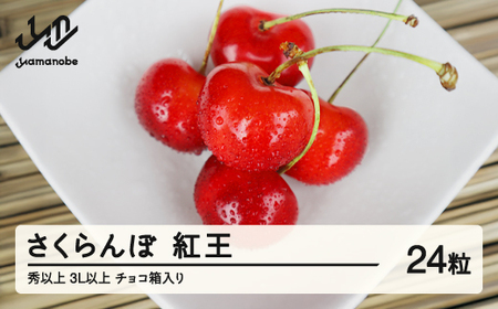 【先行予約】 さくらんぼ やまがた紅王 3L以上 秀品以上 24粒 チョコ箱 2026年産 令和8年産 山形県産 mm-yb3lc24