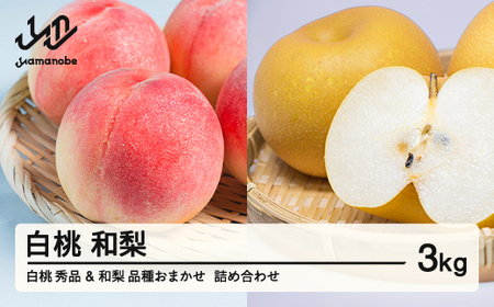 《先行予約》もも 白桃 秀品 和梨 詰め合わせ 品種おまかせ 化粧箱入り 3kg フルーツ 果物 アソート 2026年産 令和8年産 山形県産 送料無料 ns-fshnx3 ※沖縄・離島への配送不可