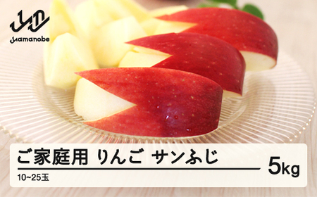 サンふじ ご家庭用 5kg 令和7年産 2025年産 りんご サンふじ 山形県産 果物 送料無料 ※沖縄・離島への配送不可 ns-risfw5