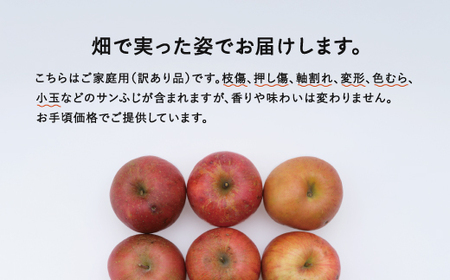 サンふじ ご家庭用 5kg 令和7年産 2025年産 りんご サンふじ 山形県産 果物 送料無料 ※沖縄・離島への配送不可 ns-risfw5