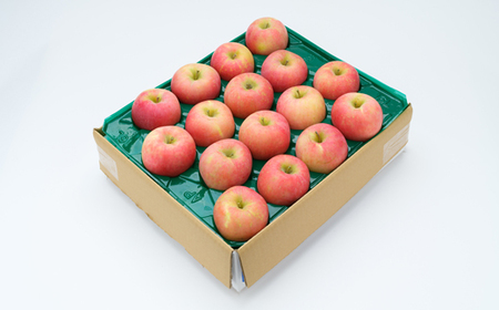 サンふじ ご家庭用 5kg 令和7年産 2025年産 りんご サンふじ 山形県産 果物 送料無料 ※沖縄・離島への配送不可 ns-risfw5