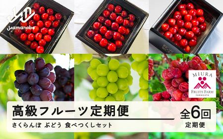 【先行予約】「高級フルーツ定期便６回」　山形県山辺町産　さくらんぼ＆ぶどう　食べつくしセット 令和8年産 2026年産 山形県山辺町産 フルーツ 果物 送料無料 bg-ftsbx6