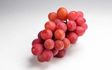 《先行予約》2026年 山形県産 クイーンニーナ ダイヤパック2P やまのべ多田農園のぶどう tn-buqnd2