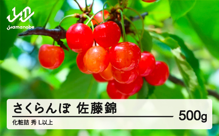 《先行予約》2023年 山形県産 さくらんぼ 相澤農園 佐藤錦 500g 秀L以上・化粧詰 F20A-112