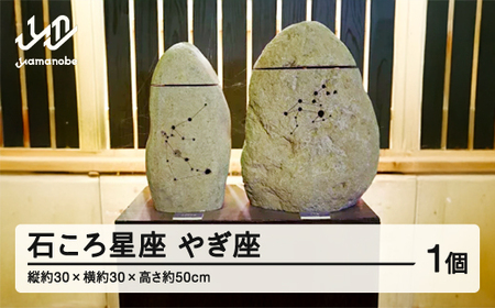 【受注生産】石ころ星座(やぎ座)  F20A-710