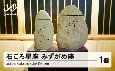 【受注生産】石ころ星座(みずがめ座)  F20A-711