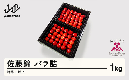 《先行予約》2026年 山形県産 令和8年産 さくらんぼ 佐藤錦 バラ詰1kg 特秀 Ｌ以上 ※沖縄・離島への配送不可  F20A-899