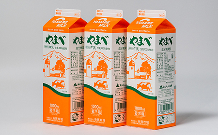 【定期便】山形県産 やまべ牛乳セット (牛乳 1L×3・コーヒー牛乳 900ml×1) ×12回 F21A-325