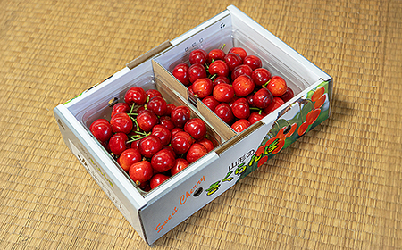 《先行予約》2026年 山形県産 さくらんぼ 紅秀峰 バラ詰（パック） 1kg 特秀 L サクランボ フルーツ F21A-329