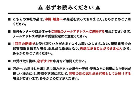 《先行予約》2026年 山形県産 さくらんぼ 紅秀峰 バラ詰（パック） 1kg 特秀 L サクランボ フルーツ F21A-329