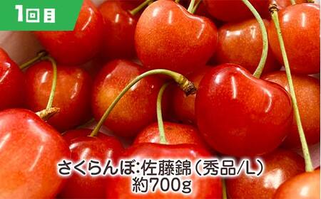 【2025年先行受付】《定期便3回》元気の郷 中山町フルーツ定期便 ～満足サイズ～ 佐藤錦 秋姫 シャインマスカット さくらんぼ サクランボ 葡萄 ぶどう ブドウ すもも スモモ 山形県産 フルーツ 果物 くだもの F4A-0392