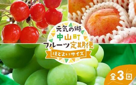  【2025年先行受付】《定期便3回》元気の郷 中山町フルーツ定期便 ～ほどよいサイズ～ 佐藤錦 秋姫 シャインマスカット さくらんぼ サクランボ 葡萄 ぶどう ブドウ すもも スモモ 山形県産 フルーツ 果物 くだもの F4A-0393