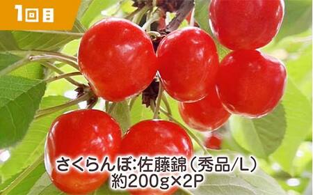  【2025年先行受付】《定期便3回》元気の郷 中山町フルーツ定期便 ～ほどよいサイズ～ 佐藤錦 秋姫 シャインマスカット さくらんぼ サクランボ 葡萄 ぶどう ブドウ すもも スモモ 山形県産 フルーツ 果物 くだもの F4A-0393