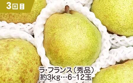 山形県産 新鮮 もも 12個入り 先行予約》不老不死の山形県産桃♪山形県産桃ばんとう1.5kg もも モモ