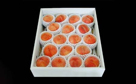 ≪2026年先行予約≫山形県産 おまかせ白桃5kg(13～20玉) 秀品 2026年8月下旬から順次発送 柔らかくなる桃 桃 もも モモ 果物 フルーツ 夏果実 山形県 中山町 F4A-0528