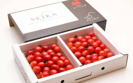 《2026年先行予約》 山形県産 さくらんぼ 佐藤錦 約350g×2パック（L～2Lサイズ） 特秀 果物 フルーツ 山形県 中山町 F4A-0415