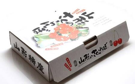 《2026年先行予約》 山形県産 さくらんぼ 佐藤錦 約500g×2パック（L～2Lサイズ） 特秀 果物 フルーツ 山形県 中山町 F4A-0416