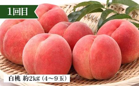 2026年先行予約 【定期便 4回】心を満たす秋冬フルーツ5種類 桃 白桃 シャインマスカット 柿 ぶどう ラ・フランス 梨 洋梨 りんご 果物 山形県 中山町 F4A-0443