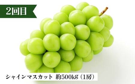 2026年先行予約 【定期便 4回】心を満たす秋冬フルーツ5種類 桃 白桃 シャインマスカット 柿 ぶどう ラ・フランス 梨 洋梨 りんご 果物 山形県 中山町 F4A-0443