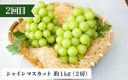 2026年先行予約 【定期便 3回】秋からの人気フルーツ定期便(1) 白桃 シャインマスカット ぶどう 葡萄 ラ・フランス 梨 洋梨 果物 フルーツ 山形県 中山町 F4A-0447