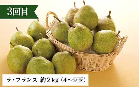 2026年先行予約 【定期便 3回】秋からの人気フルーツ定期便(1) 白桃 シャインマスカット ぶどう 葡萄 ラ・フランス 梨 洋梨 果物 フルーツ 山形県 中山町 F4A-0447