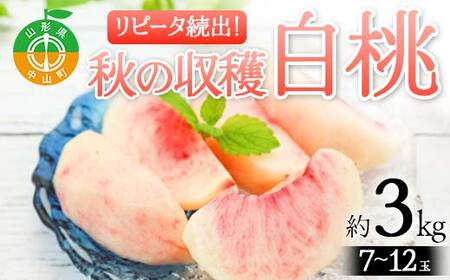 《2025年先行予約》山形県産 リピータ続出！秋の収穫 白桃 約3kg（7～12玉） 桃 もも フルーツ 果物 くだもの 山形県 中山町 F4A-0427