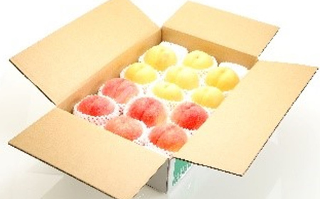 《2026年先行予約》どちらも食べたい！白桃と黄桃の食べ比べセット 約2kg（4～10玉） 桃 もも フルーツ 果物 くだもの 山形県 中山町 F4A-0429