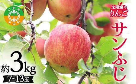 2026年度先行予約 山形県産 太陽燦々★サンふじりんご 約3kg（7～13玉） りんご 林檎 フルーツ 果物 くだもの 山形県 中山町 F4A-0437