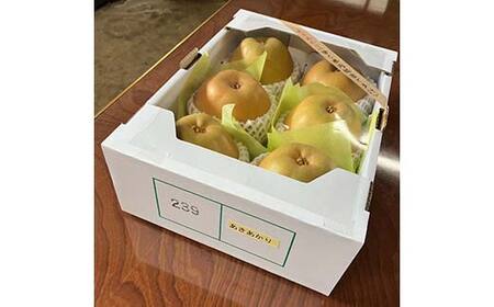 『令和7年産先行受付』 山形県産 和梨 6玉 ※品種おまかせ 秀品 約1.8kg～2kg 梨 洋梨 フルーツ 果物 くだもの 山形県 中山町 F4A-0465