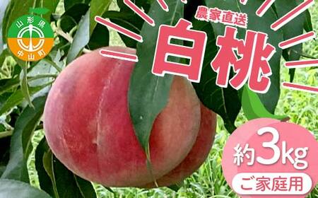 【ご家庭用】令和7年産 先行受付 農家直送「白桃」約3kg(6～11玉) 品種おまかせ 山形県 中山町 F4A-0471