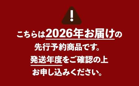 【ご家庭用】令和8年産 先行受付 農家直送「白桃」約3kg(6～11玉) 品種おまかせ 山形県 中山町 F4A-0471