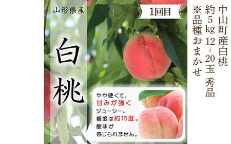 2026年8月発送開始 先行受付 山形県 至高のフルーツ！ 山形県中山町特選品フルーツ定期便 全3回 桃 シャインマスカット ラ・フランス 山形県 中山町 F4A-0478