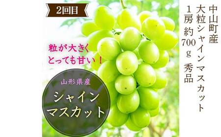 2026年8月発送開始 先行受付 山形県 至高のフルーツ！ 山形県中山町特選品フルーツ定期便 全3回 桃 シャインマスカット ラ・フランス 山形県 中山町 F4A-0478