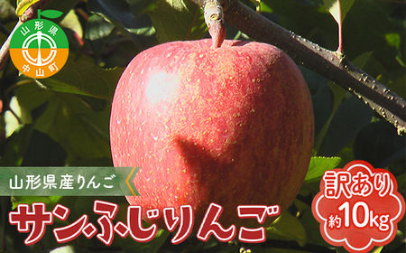 【訳あり】山形県産サンふじりんご 約10kg バラ入り りんご リンゴ 林檎 デザート フルーツ 果物 くだもの 果実 食品 山形県 中山町 F4A-0462