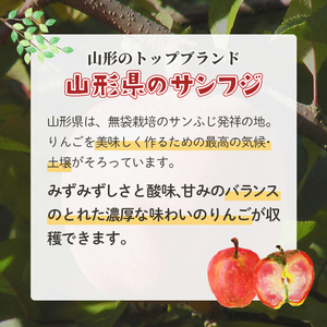 【訳あり】山形県産サンふじりんご 約10kg バラ入り りんご リンゴ 林檎 デザート フルーツ 果物 くだもの 果実 食品 山形県 中山町 F4A-0462