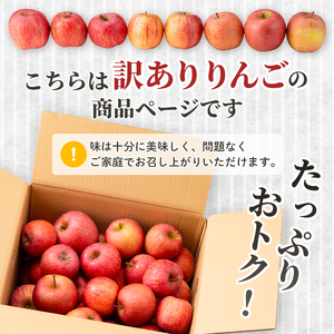 【訳あり】山形県産サンふじりんご 約10kg バラ入り りんご リンゴ 林檎 デザート フルーツ 果物 くだもの 果実 食品 山形県 中山町 F4A-0462