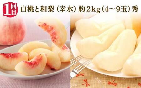 【2026年 先行予約】3回定期便 6つの美味しさ満喫フルーツ便 桃 和梨 シャインマスカット ピオーネ ラ・フランス りんご 果物 くだもの 山形県 中山町 F4A-0483