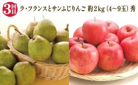 【2026年 先行予約】3回定期便 6つの美味しさ満喫フルーツ便 桃 和梨 シャインマスカット ピオーネ ラ・フランス りんご 果物 くだもの 山形県 中山町 F4A-0483