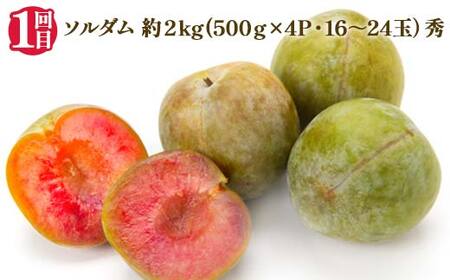 【2026年 先行予約】3回定期便 すもも らぶ便 果物 くだもの 山形県 中山町 F4A-0484