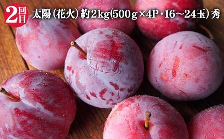 【2026年 先行予約】3回定期便 すもも らぶ便 果物 くだもの 山形県 中山町 F4A-0484