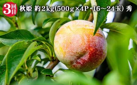 【2026年 先行予約】3回定期便 すもも らぶ便 果物 くだもの 山形県 中山町 F4A-0484