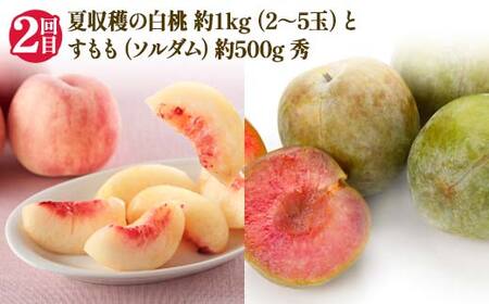 【2026年 先行予約】4回定期便 幸せを呼ぶ人気フルーツ6種便 さくらんぼ 桃 シャインマスカット ラ・フランス りんご 果物 くだもの 山形県 中山町 F4A-0487