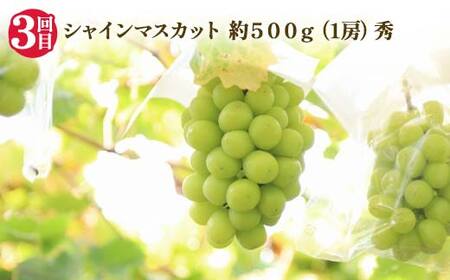 【2026年 先行予約】4回定期便 幸せを呼ぶ人気フルーツ6種便 さくらんぼ 桃 シャインマスカット ラ・フランス りんご 果物 くだもの 山形県 中山町 F4A-0487
