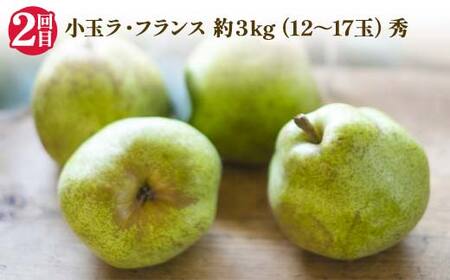 2026年先行受付 【定期便3回】秋冬フルーツ恵み便 柿 ラ・フランス りんご 山形県 中山町 F4A-0488