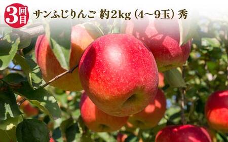 2026年先行受付 【定期便3回】秋冬フルーツ恵み便 柿 ラ・フランス りんご 山形県 中山町 F4A-0488