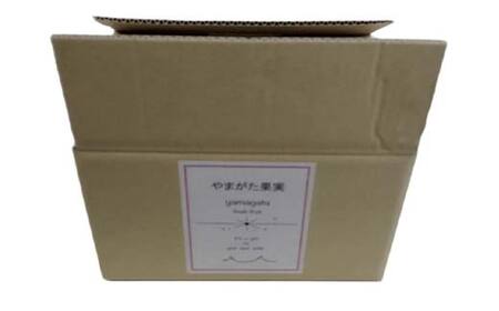 【令和8年産先行受付】山形県産高糖度「ラ・フランス」5kg 家庭用(訳あり) 玉数おまかせ らふらんす 果物 くだもの フルーツ 中山町 訳あり 自宅用 F4A-0953