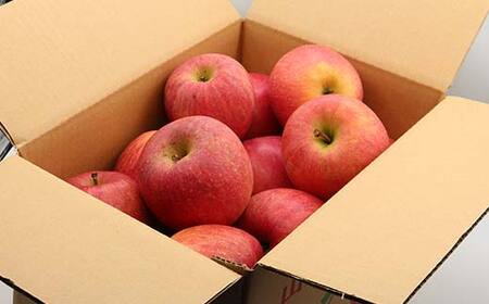 ≪先行予約≫【訳あり】【家庭用】 山形県産サンふじりんご 約5kg 《2026年12月上旬より順次発送予定》 バラ入り りんご リンゴ 林檎 デザート フルーツ 果物 くだもの 果実 食品 山形県産 中山町 F4A-0911